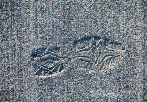 Euthanasie : Un premier pas vers « une assistance médicalisée à mourir » 