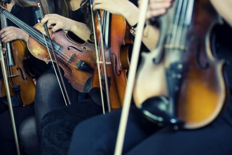 La vaccination, un « devoir déontologique » : Les sept ordres de santé accordent leurs violons