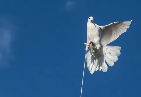 Attractivité à l’hôpital : À nous le libéral ? 