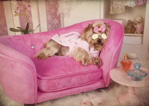 Un appel à projet pour (enfin) prendre soin de ceux qui soignent