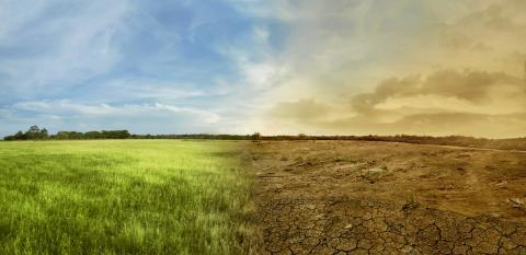 En France, 35 % des décès liés à la chaleur peuvent être attribués au changement climatique