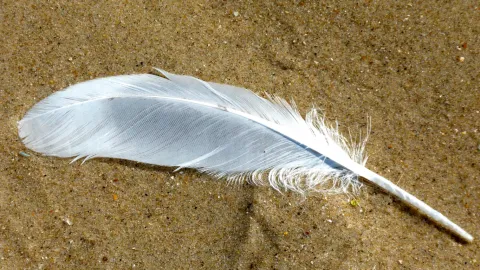 Grève des PH : Le mouvement prend du plomb dans l’aile