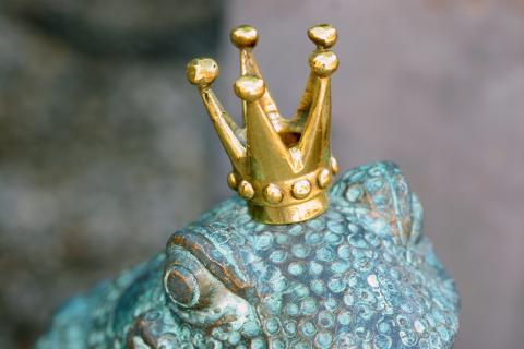 Le prince et les vaccins 