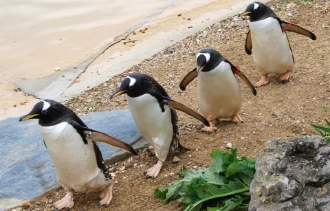 Salaire des MSU : Poitiers OK, Marseille attend toujours