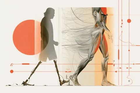 Laminopathie : à l’Institut de Myologie, la recherche veut percer les mystères du muscle