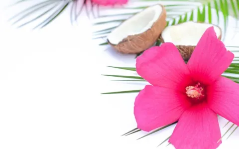 Fin de l’état d’urgence en Guyane et à Mayotte