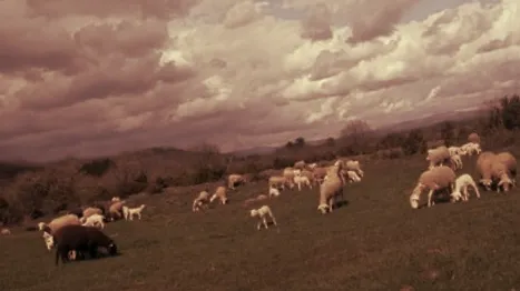 Vendredi soir à l’hôpital Bégin : « On a parlé d’aller élever des chèvres dans le Larzac »
