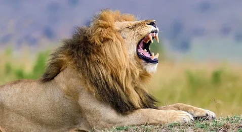 Grogne mondiale des médecins