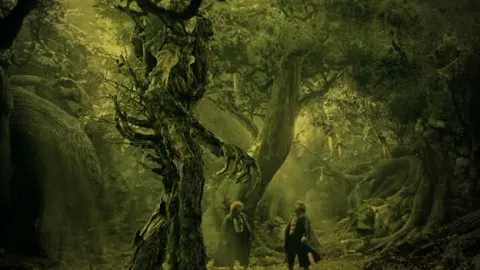 Loi de santé adoptée : que cache l’arbre du tiers-payant ?