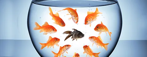 Comment lutter contre les préjugés ?