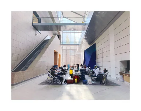 Du sang contre une visite au musée ! 