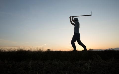 L’ARS Paca s’inquiète de la détection de cas de Covid parmi des travailleurs agricoles étrangers