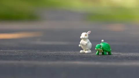 Un universitaire amiénois propose deux voies de préparation aux ECN