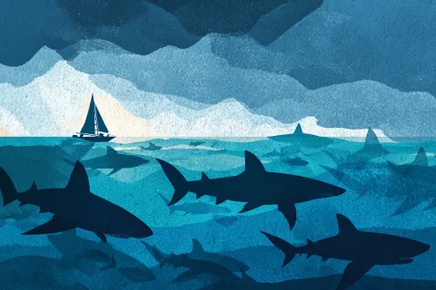 Nouvelle-Calédonie : un urgentiste de 55 ans décède d’une attaque de requin