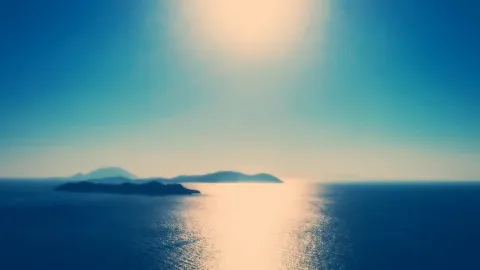 #adopte1PUPH : « C’est compliqué de faire passer la Méditerranée à Angers » 