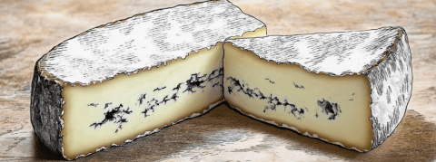 Attention au Morbier au lait cru, on suspecte une contamination par E. Coli 