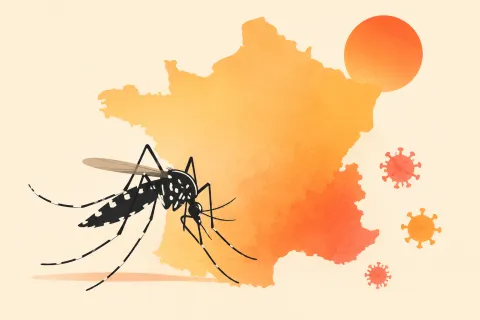 Dengue, chikungunya, Zika : plus de 210 cas importés depuis début mai