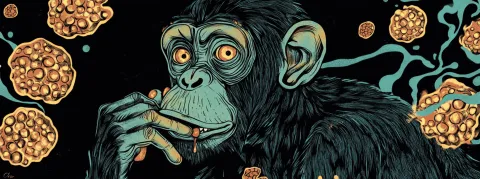 Un premier cas de Mpox clade 1b, détécté en France,  mais pas de panique