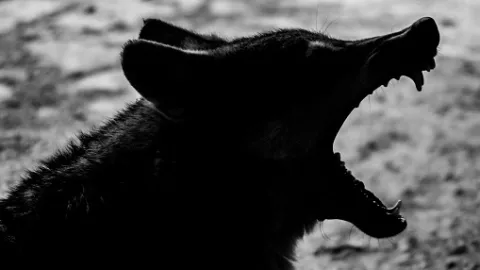 Négos conventionnelles : les syndicats de jeunes recus demain par la ministre