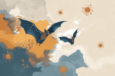 Nipah : malgré trois cas à la frontière indo-bangladaise, un faible risque au niveau mondial