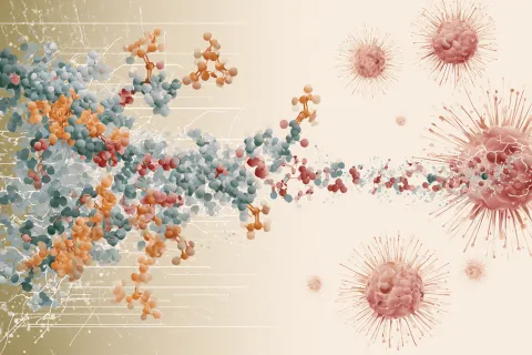 Oncologie : Novartis s’offre les thérapies ciblées de Myricx Bio, un pari préclinique à 1,3 milliard