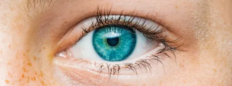 Beau temps sur les épidémies, on garde un œil sur la fièvre du Congo qui pourrait atteindre la France