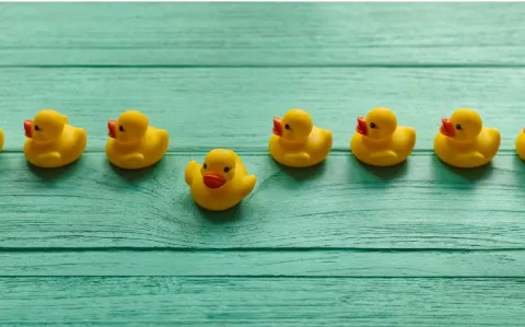 Dr Busch, convoqué par la justice pour refus de payer sa cotisation ordinale