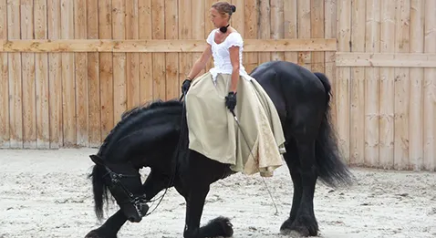 L’ordonnance papier tire sa révérence