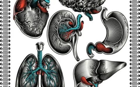 Pénurie d’organes, le gouvernement lâche 2 milliards d’euros sur 5 ans pour un nouveau plan d’action