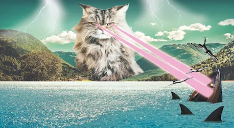 Pourquoi le bateau prend l'eau