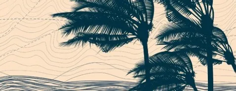 Au coeur de l'ouragan dans une clinique