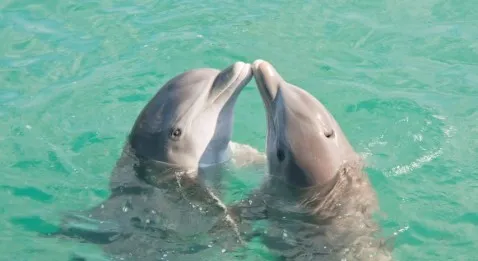 L'hôpital public c'est bien !