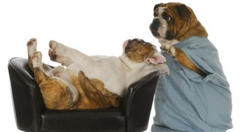 Une start-up américaine propose aux patients d’enquêter sur leur médecin