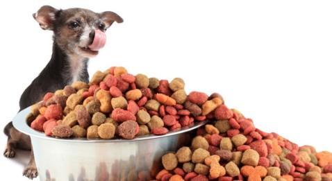 Et pendant ce temps là...