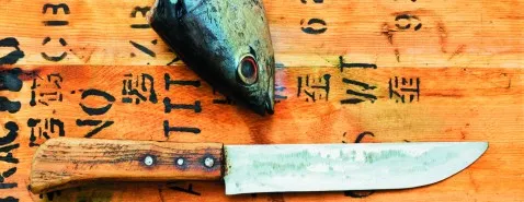 Publier : faut-il oublier les cas cliniques ?