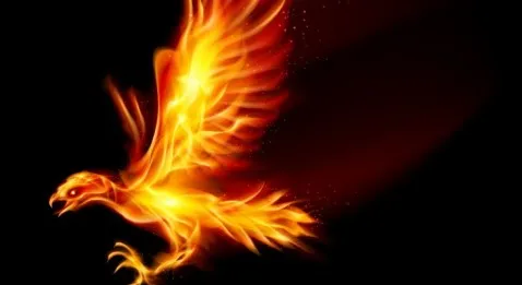 L'AFJCMF, l'asso qui rena^it de ses cendres