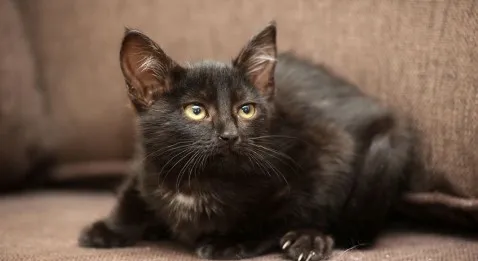 Le secteur privé hospitalier (FHP) est inquiet !