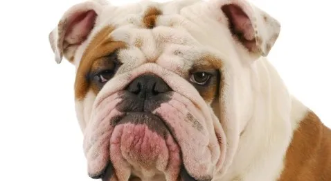 Les génériques bien ou mal ?