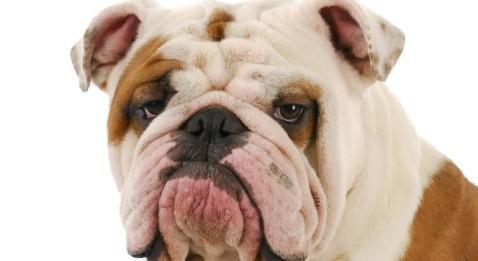 Les génériques bien ou mal ?