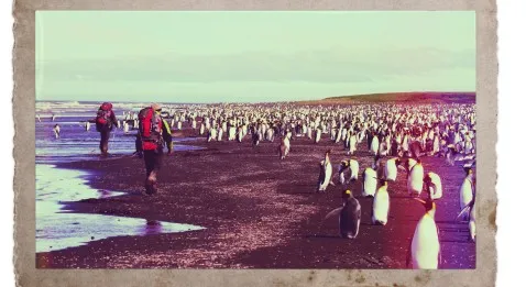 Un séjour dans les TAAF ?