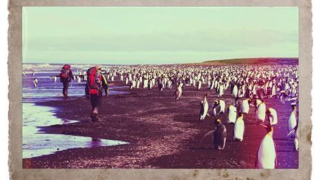 Un séjour dans les TAAF ?