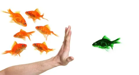 Don du sang : discrimination sexuelle