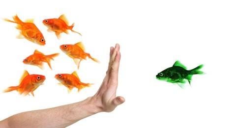 Don du sang : discrimination sexuelle