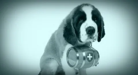 La science expliquée par le Pharmachien