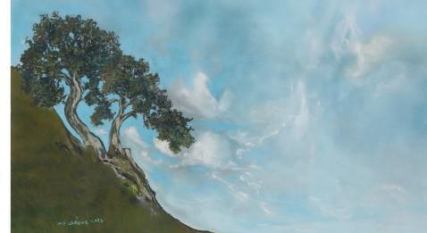 Des ciels au pastel pour revêtir les murs de nos patients