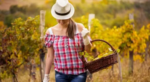 Médecine générale À Dijon : parce que ca fait pas rêver