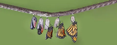 Les preuves scientifiques mises à mal !