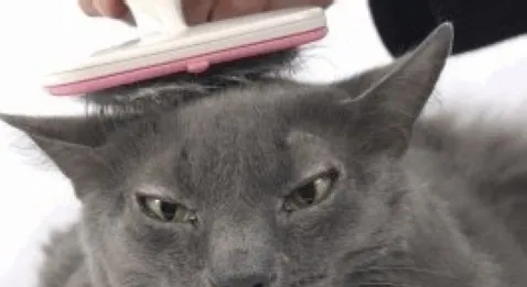 Marisol Touraine tente de calmer le jeu !