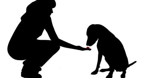 Limitation des remboursements des mutuelles !