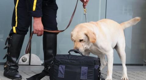 Bientôt une carte d'identité des hôpitaux ?